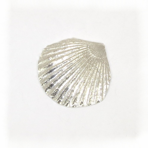 Silver fossil clam shell